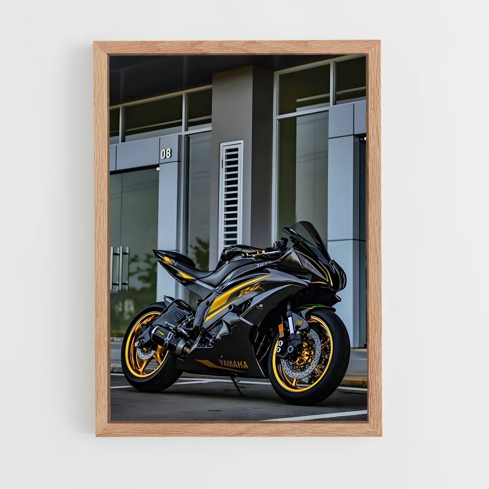 Poster Ninja Éclipsant 400 (vue 4)